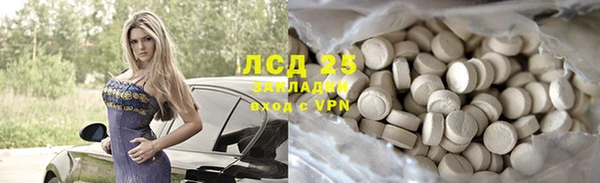 Альфа ПВП Гусев