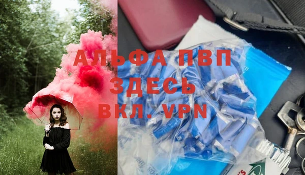 Альфа ПВП Гусев