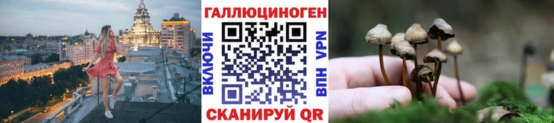 omg ССЫЛКА  Донецк  Галлюциногенные грибы ЛСД 