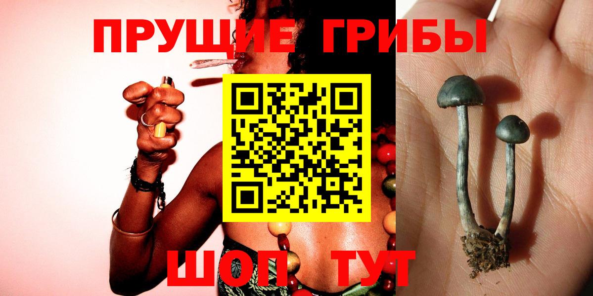 Псилоцибиновые грибы Cubensis Донецк
