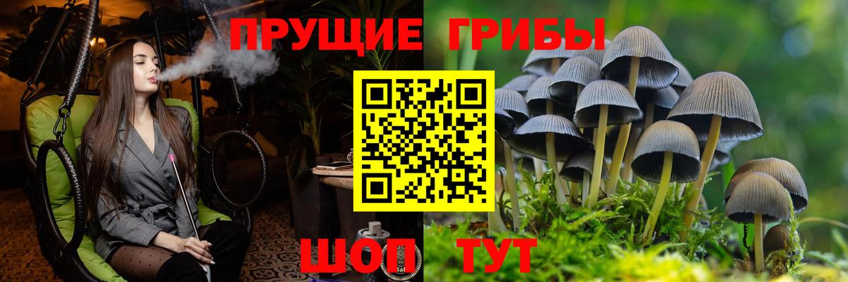 Псилоцибиновые грибы мицелий  Вход с VPN  Псилоцибиновые грибы прущие грибы  Донецк 